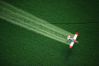 Agricultura intensiva foloseste cantitati mari de ingrasaminte si pesticide