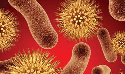 Bacterii, antibiotice,