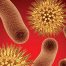 Bacterii, antibiotice,