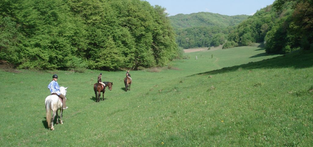 Cross Country Farm