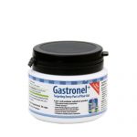 Gastronel