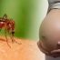 virus mortal, virusul Zika,