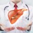 Protectie ficat, Uno Hepatic,
