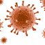 virusul hepatic, hepatita,