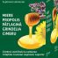 Meltus, siropul de tuse,