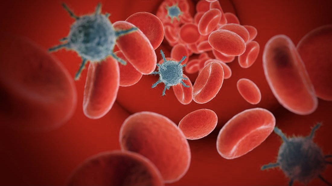 celule, antigen,