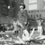 COVID-19, pandemie,