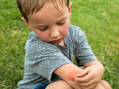 Spray ani insecte, Pediakid,