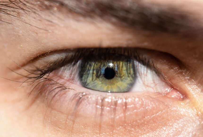 Dezlipirea de retina