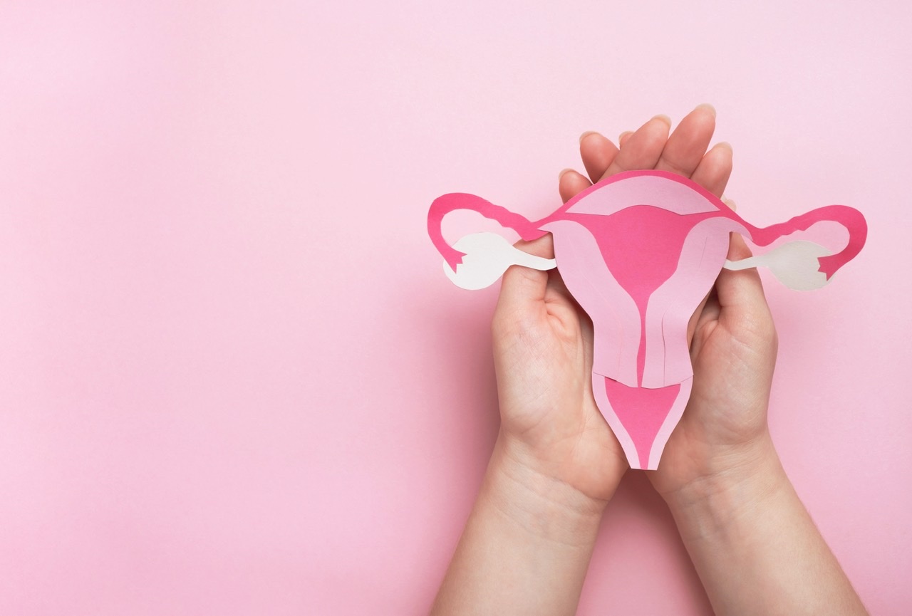 Sistem reproducator feminin, utre, ovare,