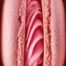 rejuvenare vaginala, menopauza, Rigenera, celule progenirorii, nastere,