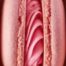 rejuvenare vaginala, menopauza, Rigenera, celule progenirorii, nastere,