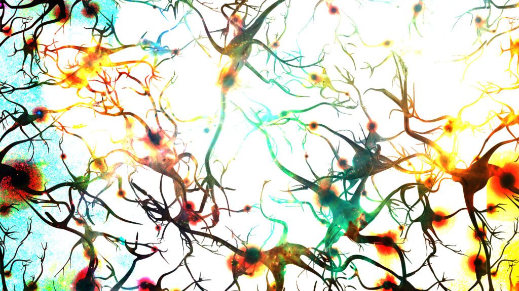Retea neuronala implicata in autism - asigurarea STEMCare Autism