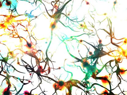 Retea neuronala implicata in autism - asigurarea STEMCare Autism