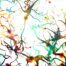 Retea neuronala implicata in autism - asigurarea STEMCare Autism
