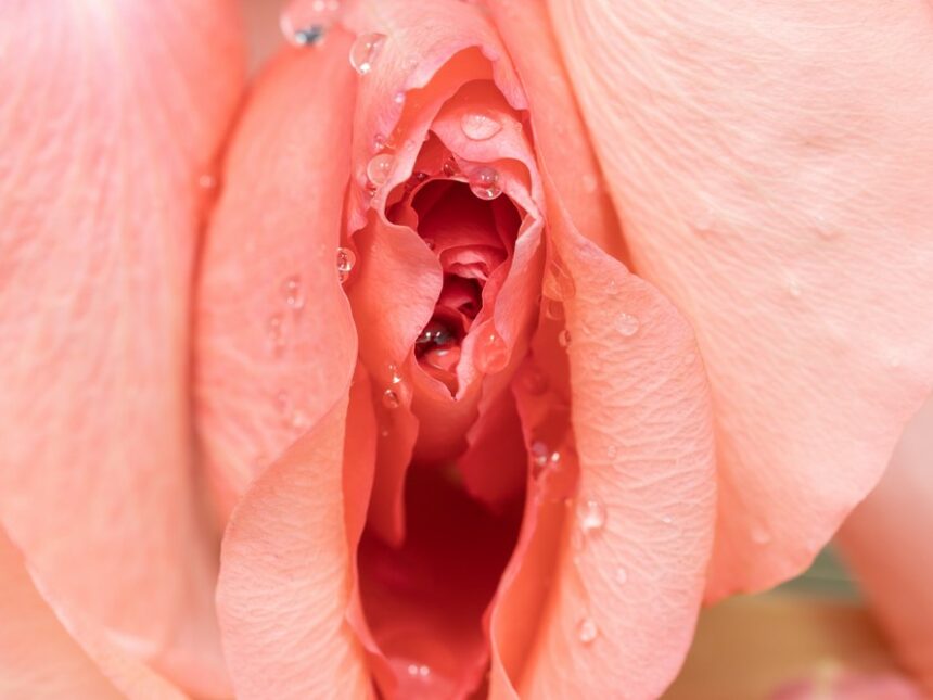 rejuvenarea vaginala, Rigenera,