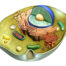 autofagocitoza, intermittent fasting, postul, detoxifiere,