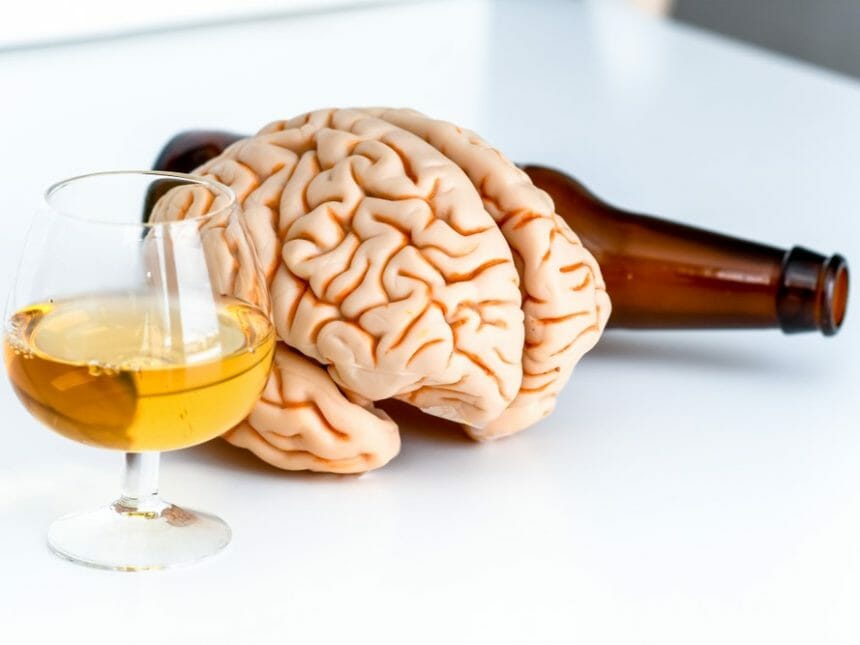 alcoolul, creierul, neuronii,